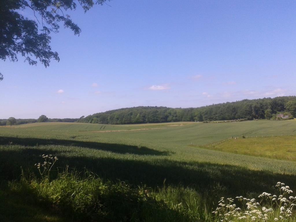 Ostsee Reetkate Langballig ห้อง รูปภาพ