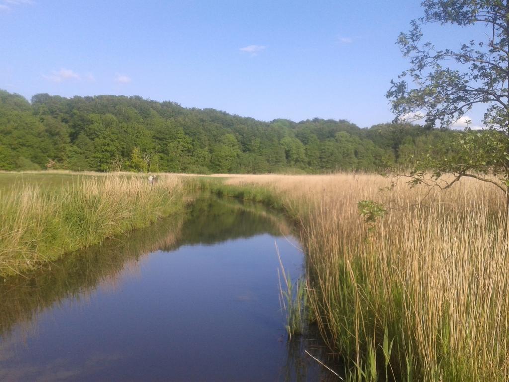 Ostsee Reetkate Langballig ห้อง รูปภาพ
